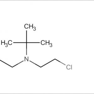 tert-Butyl-bis-(2-chloroethyl)amine*HCI