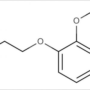 1-(2-Chloroethoxy)-2-methoxybenzene