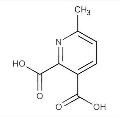 6-Methyl-2,3-pyridinedicarboxylic acid