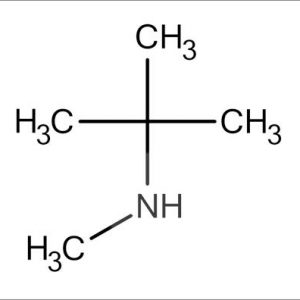 N-Methyl-tert-butylamine