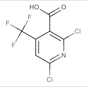 cas 503437-19-2