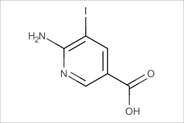 Amino Network description