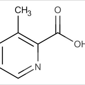 cas 774864