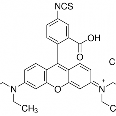 rhodamine B isothiocyanate